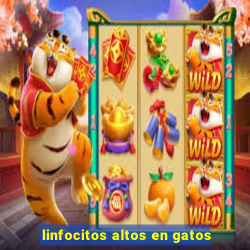 linfocitos altos en gatos