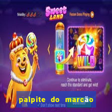 palpite do marcão jogo do bicho