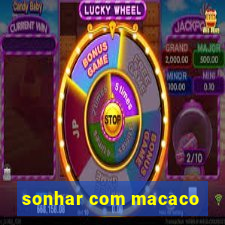 sonhar com macaco