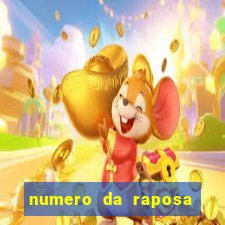 numero da raposa jogo do bicho