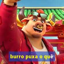 burro puxa o quê