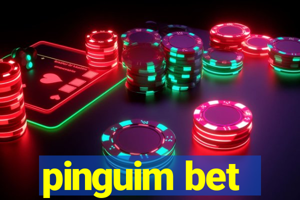 pinguim bet