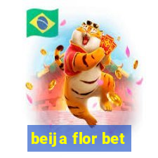 beija flor bet