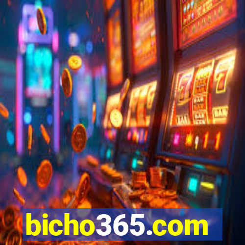 bicho365.com