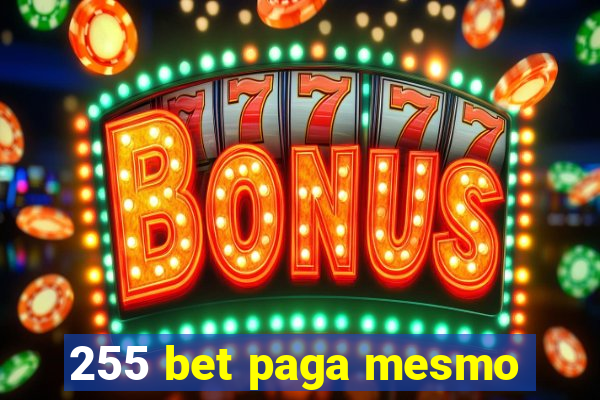 255 bet paga mesmo