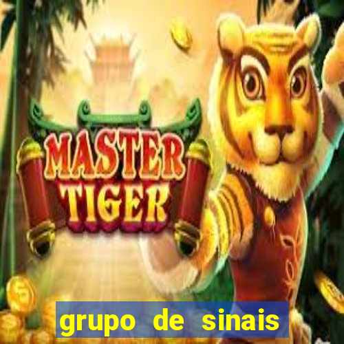 grupo de sinais fortune rabbit