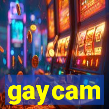 gaycam